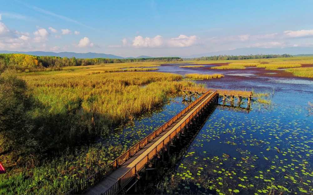 DÜZCE ŞELALELER TURU