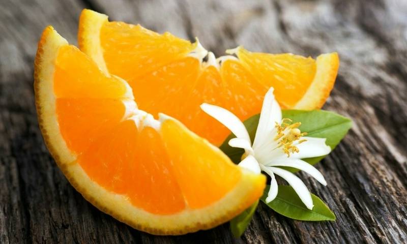 ADANA PORTAKAL ÇİÇEĞİ FESTİVALİ TURU