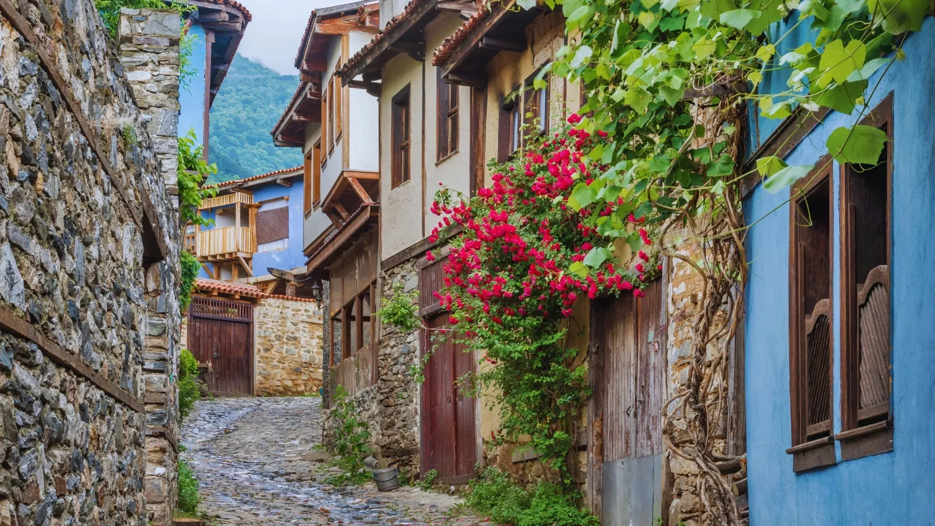 Bursa Cumalıkızık Mudanya Trilye Gölyazı
