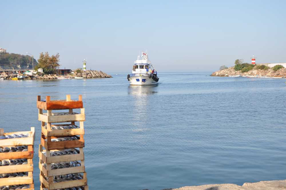 AKÇAKOCA & HEMŞİN KÖYÜ TURU