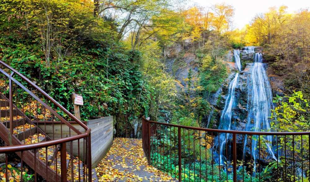 DÜZCE ŞELALELER TURU