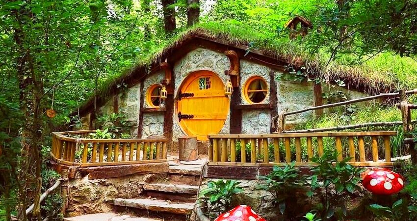 MAŞUKİYE  - ORMANYA – KARTEPE -SAPANCA TURU